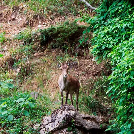 Calar De La Sima